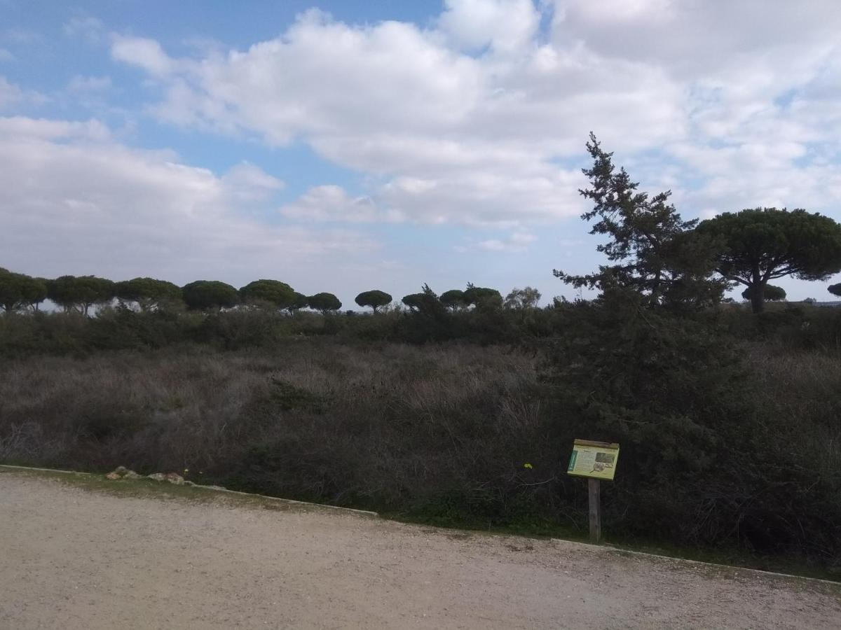 Tu Denscanso En Valdelagrana Frente Al Mar Эль-Пуэрто-де-Санта-Мария Экстерьер фото